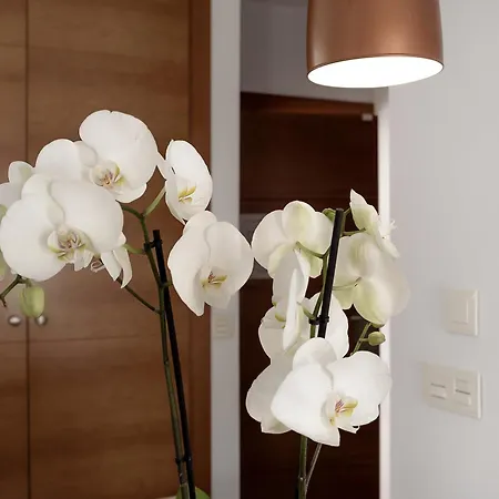 Campo Del Principe By Maxi *